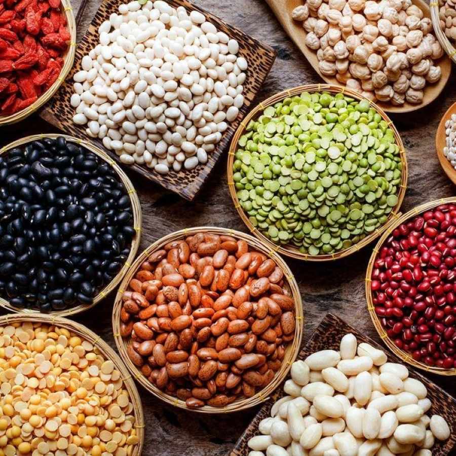 Các loại đậu bổ dưỡng